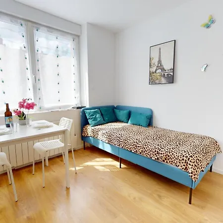 Apartament Le Charme Colmarien - 2 Pieces Au Coeur De La *