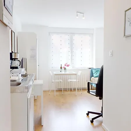 Le Charme Colmarien - 2 Pieces Au Coeur De La