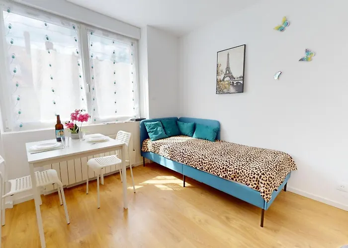 Διαμέρισμα Le Charme Colmarien - 2 Pieces Au Coeur De La *